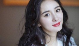 杨幂每日爆料最新,揭秘明星幕后生活点滴